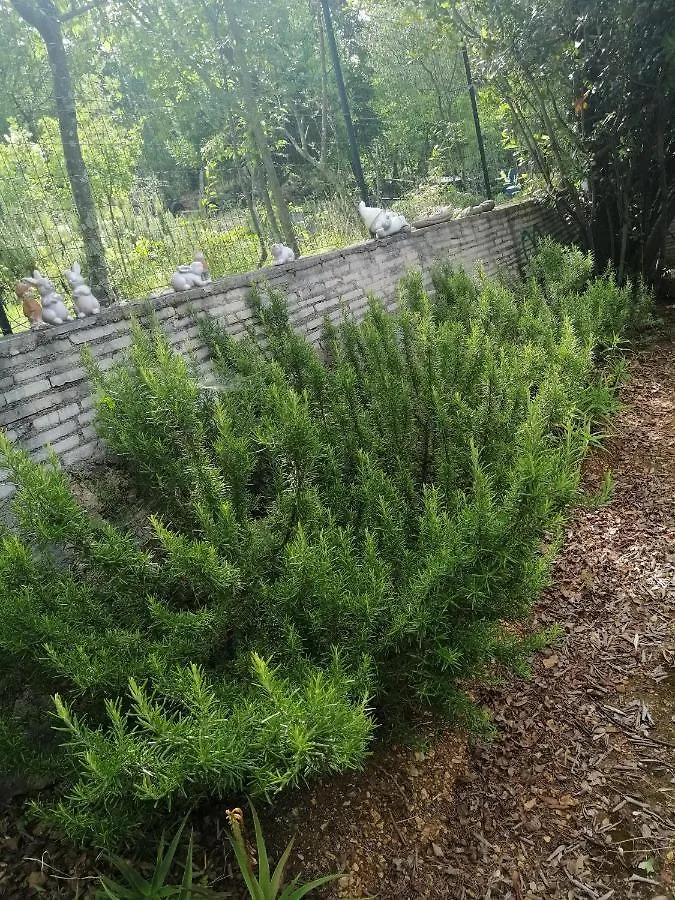 Apartment Dramalj 5592B